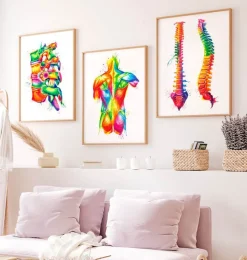 Codex Anatomicus Skull & Skeleton^Spine anatomy - Watercolor splash