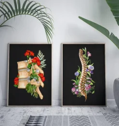 Codex Anatomicus Skull & Skeleton^Spine anatomy II - Floral - Black
