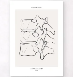 Codex Anatomicus Skull & Skeleton^Spine anatomy II - Line Art