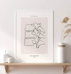 Codex Anatomicus Skull & Skeleton^Spine anatomy II - Line Art