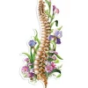 Codex Anatomicus Stickers^Spine anatomy sticker - Floral