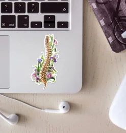 Codex Anatomicus Stickers^Spine anatomy sticker - Floral