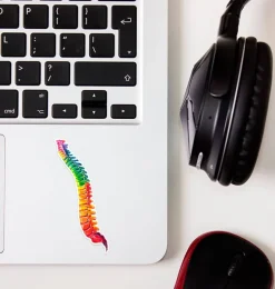 Codex Anatomicus Stickers^Spine anatomy sticker - Watercolor Splash