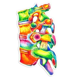 Codex Anatomicus Stickers^Spine anatomy sticker II - Watercolor Splash