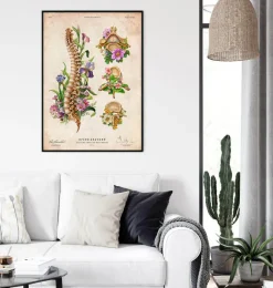 Codex Anatomicus Skull & Skeleton^Spine chart - Floral - Vintage