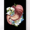 Codex Anatomicus Digestive System^Stomach anatomy - Floral - Black