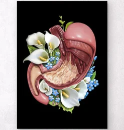 Codex Anatomicus Digestive System^Stomach anatomy - Floral - Black