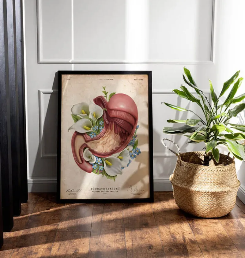 Codex Anatomicus Digestive System^Stomach anatomy - Floral - Vintage