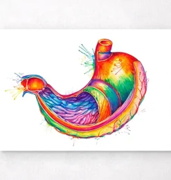 Codex Anatomicus Digestive System^Stomach anatomy art - Watercolor splash