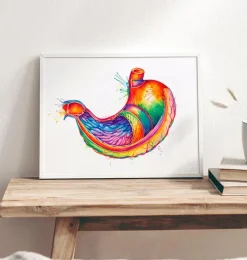 Codex Anatomicus Digestive System^Stomach anatomy art - Watercolor splash