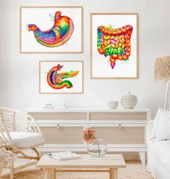 Codex Anatomicus Digestive System^Stomach anatomy art - Watercolor splash