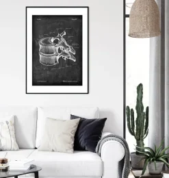 Codex Anatomicus Skull & Skeleton^Thoracic vertebrae - Chalkboard