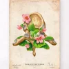 Codex Anatomicus Skull & Skeleton^Thoracic vertebrae - Floral - Vintage