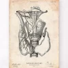 Codex Anatomicus Various Organs^Thyroid anatomy art print