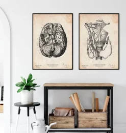 Codex Anatomicus Various Organs^Thyroid anatomy art print