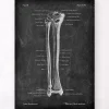 Codex Anatomicus Skull & Skeleton^Tibia & Fibula - Chalkboard