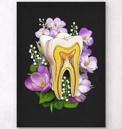 Codex Anatomicus Dental Anatomy^Tooth anatomy - Floral - Black