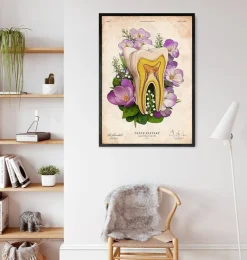 Codex Anatomicus Dental Anatomy^Tooth anatomy - Floral - Vintage