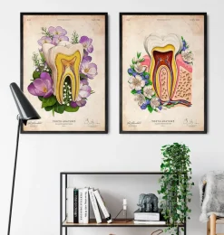 Codex Anatomicus Dental Anatomy^Tooth anatomy - Floral - Vintage