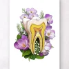 Codex Anatomicus Dental Anatomy^Tooth anatomy - Floral - White