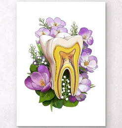 Codex Anatomicus Dental Anatomy^Tooth anatomy - Floral - White