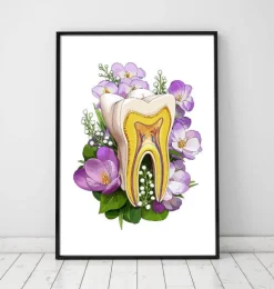 Codex Anatomicus Dental Anatomy^Tooth anatomy - Floral - White
