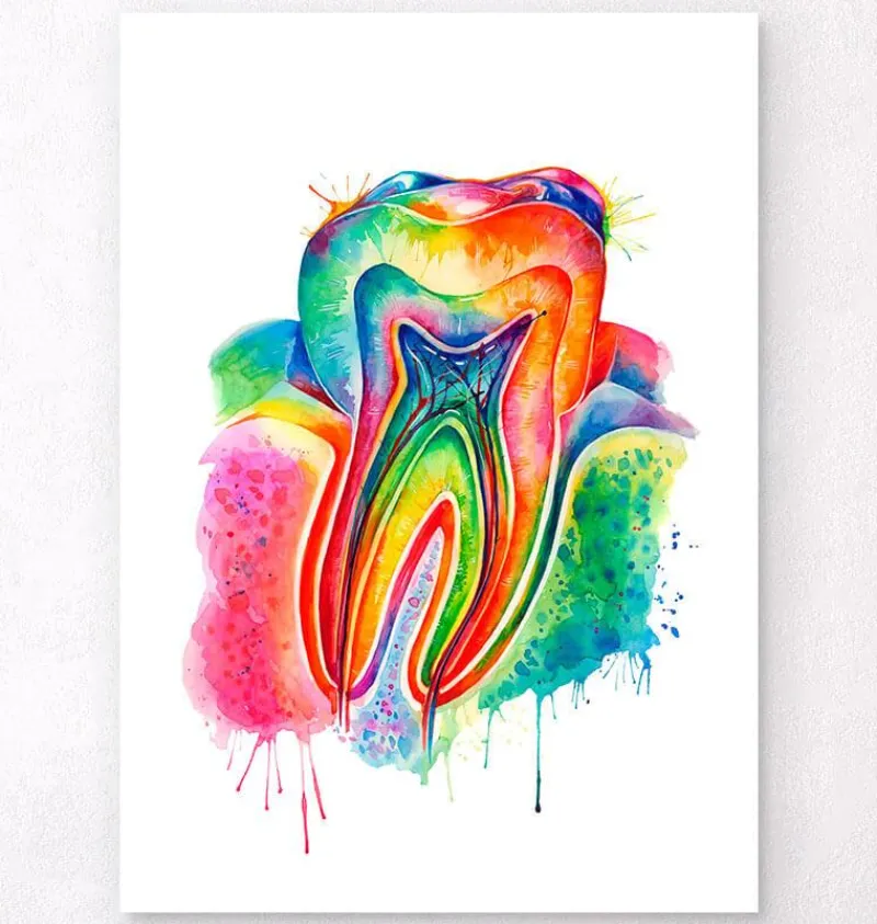 Codex Anatomicus Dental Anatomy^Tooth anatomy art - Watercolor splash