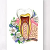 Codex Anatomicus Dental Anatomy^Tooth anatomy II - Floral - White