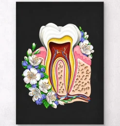 Codex Anatomicus Dental Anatomy^Tooth anatomy II - Floral - Black