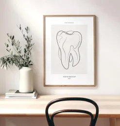 Codex Anatomicus Dental Anatomy^Tooth anatomy II - Line Art