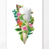 Codex Anatomicus Dental Anatomy^Tooth anatomy III - Floral - White
