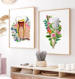 Codex Anatomicus Dental Anatomy^Tooth anatomy III - Floral - White