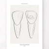 Codex Anatomicus Dental Anatomy^Tooth anatomy III - Line Art