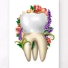 Codex Anatomicus Dental Anatomy^Tooth anatomy IV - Floral - White