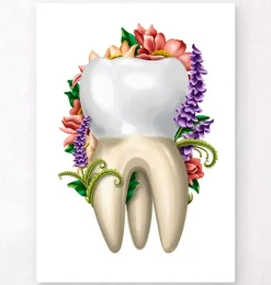 Codex Anatomicus Dental Anatomy^Tooth anatomy IV - Floral - White