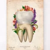 Codex Anatomicus Dental Anatomy^Tooth anatomy IV - Floral - Vintage