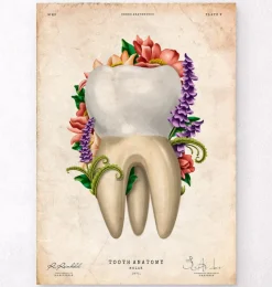 Codex Anatomicus Dental Anatomy^Tooth anatomy IV - Floral - Vintage