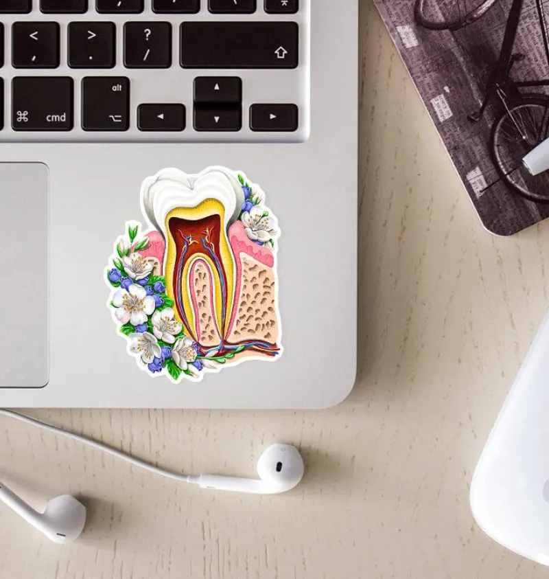 Codex Anatomicus Stickers^Tooth anatomy sticker - Floral