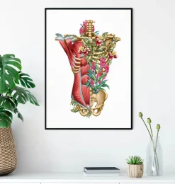 Codex Anatomicus Full Body Anatomy^Torso muscles & bones - Floral - White