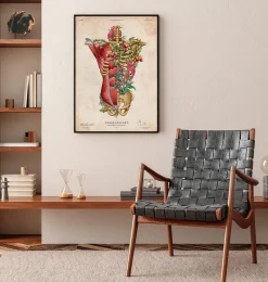 Codex Anatomicus Full Body Anatomy^Torso muscles & bones - Floral - Vintage