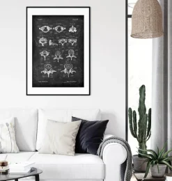 Codex Anatomicus Skull & Skeleton^Types of vertebrae - Chalkboard