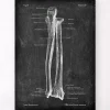 Codex Anatomicus Skull & Skeleton | Hands & Legs^Ulna & Radius - Chalkboard