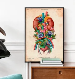 Codex Anatomicus Kidney & Liver^Urinary system - Floral - Vintage