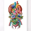 Codex Anatomicus Kidney & Liver^Urinary system - Floral - White