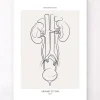 Codex Anatomicus Kidney & Liver^Urinary system anatomy - Line Art
