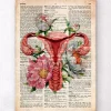 Codex Anatomicus Obstetrics & Gynecology^Uterus anatomy - Floral - Old dictionary