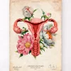 Codex Anatomicus Obstetrics & Gynecology^Uterus anatomy - Floral - Vintage
