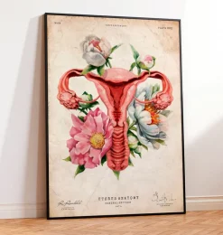 Codex Anatomicus Obstetrics & Gynecology^Uterus anatomy - Floral - Vintage