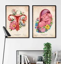 Codex Anatomicus Obstetrics & Gynecology^Uterus anatomy - Floral - Vintage
