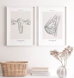Codex Anatomicus Obstetrics & Gynecology^Uterus anatomy - Line Art